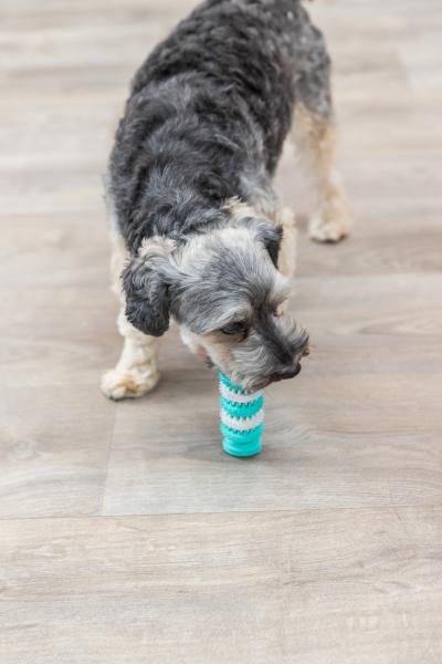 Trixie Denta Fun Knochen Hundespielzeug